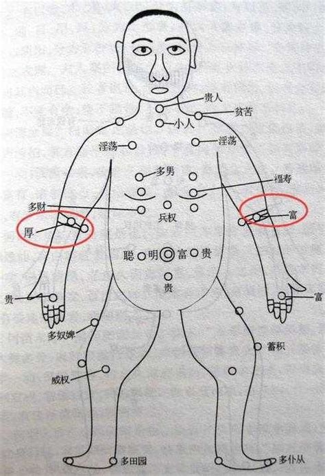 左手內側有痣|痣的位置透露出這些訊息！上手臂有痣不乏追求者、手。